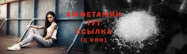 прущие грибы Балабаново