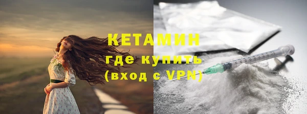 прущие грибы Балабаново