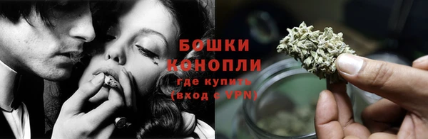 прущие грибы Балабаново