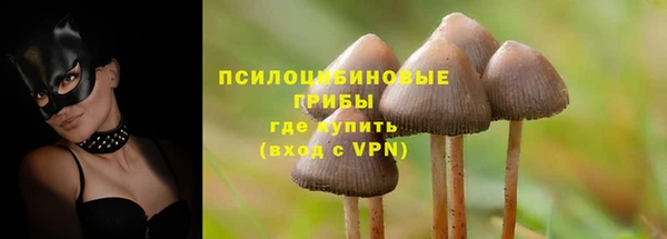 кокс Богданович