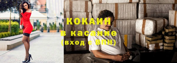 прущие грибы Балабаново