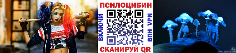 где продают наркотики Гаврилов-Ям Псилоцибиновые грибы Psilocybe