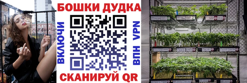 Бошки Шишки сатива  сколько стоит  Гаврилов-Ям 